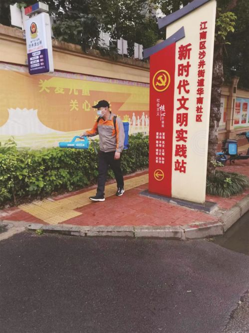 清除四害孳生地，筑牢邕城健康防線——專業消殺服務助力城市衛生防護