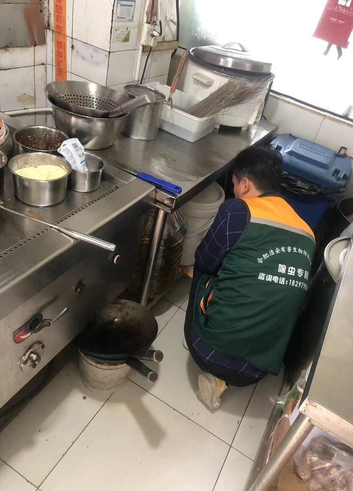 合肥、蚌埠、六安殺蟲滅鼠除蟲滅蟑螂服務優質商家推薦,專業保障安心之選