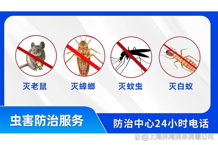 專業除四害消殺服務 上海井灣生物科技公司為您的健康保駕護航