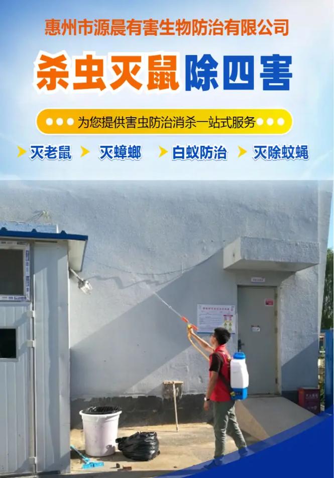 惠州博羅縣專業白蟻防治與四害消殺服務 先進設備助力健康家園