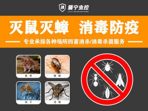 專業四害消殺服務 守護健康環境的全面解決方案