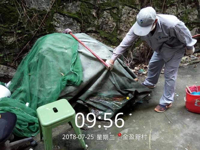 大浪街道除四害消殺工作簡報