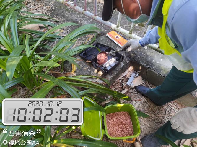 濕地公園10月12日四害消殺工作情況